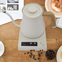 700 مللي صنبور النمط الياباني الفولاذ المقاوم للصدأ غلاية كهربائية غلاية الماء الساخن الشاي صب فوق معقوفة غلاية بالتنقيط القهوة