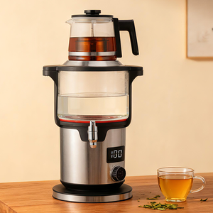 الأجهزة الكهربائية والمنزلية 4.5 لتر + 1.1 لتر ماكينة صنع الشاي الكهربائية المزدوجة الرقمية ساموفار الروسية مع إبريق شاي زجاجي